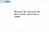 Manual ms dynamics crm 3.0