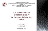 Anahis Guerra sociologia y antropologia