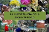La importancia de la biodiversidad
