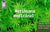Marihuana Medicinal