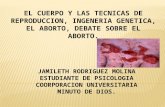 EL CUERPO Y LAS TECNICAS DE REPRODUCCION, INGENERIA GENETICA, EL ABORTO, DEBATE SOBRE EL ABORTO.