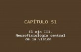 Capitulo 51