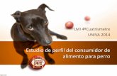 Investigación perfil del consumidor de alimento perro (ejemplo)