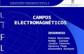Campos electromagneticos