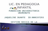 lic. pedagogia infantil