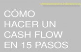 CASH FLOW EN 15 PASOS