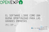 El software libre como una buena oportunidad para las grandes empresas- OpenExpo Day 2015