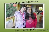 Presentacion de plantas medicinales curso 2013