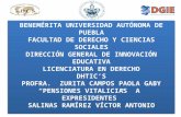 PENSIONES VITALICIAS A EXPRESIDENTES DHTIC