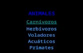 Animales 2
