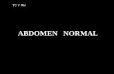 4 imagenes normales abdomen_ (1)