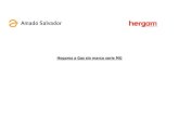 Estufas a gas de Hergom - Amado Salvador