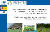 21  oportunidades de financiamiento climático, con énfasis en el sector agropecuario   mayte gonzalez