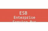 Enterprise Service Bus y API Managers
