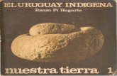 Indígenas en uruguay