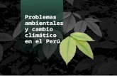 Problemas ambientales y cambio climático en el Perú