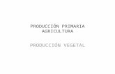 4 Producción vegetal
