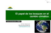 HONDURAS COURSE - El papel de los bosques en el cambio climático / Omar Samayoa