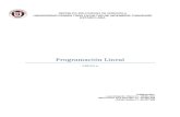 Problemas de Programación Lineal