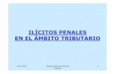 Ilícitos penales en el ámbito tributario / Caridad Gómez-Mourelo Castedo, Agencia Estatal de Administración Tributaria (AEAT) de España
