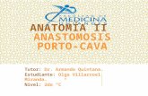 Anastomosis Porto-Cava