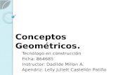Conceptos geom©tricos