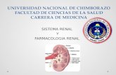 Sistema Renal y Farmacología Renal