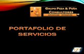 Portafolio de servicios a detalle de grupo peza & peña consultores  2015