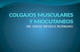 Colgajos musculares y miocutaneos