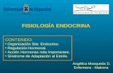 Fisiologia endocrina 2009