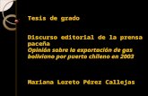 Tesis 2012. Discurso editorial de la prensa paceña / Opinión sobre la exportación de gas boliviano por puerto chileno en 2003.