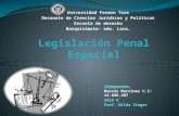 Legislacion penal especial