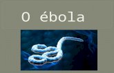 Ppt ébola (1)