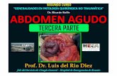 ABDOMEN AGUDO CURSO DEL SERVICIO DE CIRUGÍA GENERAL DEL HOSPITAL DE EMERGENCIAS DE LA CIUDAD DE ROSARIO. PARTE III