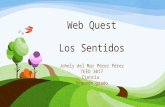 Web quest Los Sentidos