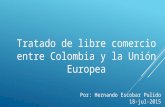 taller TLC Colombia-UE web.2