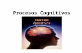Procesos cognitivos 1
