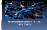 4 ps biología neurotransmisoresylasemociones