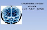 CLASE 3 - Enfermedad Cerebro Vascular (a.C.v)