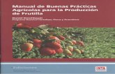 INTA-Manual de Buenas Practicas Agricolas para la Produccion de Frutilla.pdf