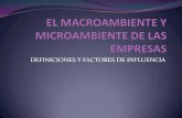 El Macroambiente y Microambiente de Las Empresas