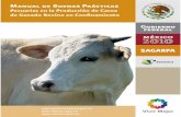 Manual de Buenas Prácticas Pecuarias en la Producción de Carne de Ganado Bovino.pdf