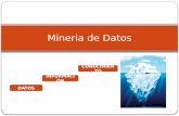 9. Mineria de Datos