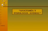 Anatomìa y Fisiologia Animal