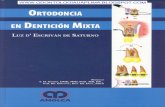 Ortodoncia en Dentición Mixta - Esgrivan