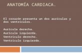 1. Anatomía cardiaca