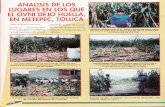 Analisis de Los Lugares en Los Que El Ovni Dejo Huella, En Metepec, Toluca R-080 Nº042 - Reporte Ovni - Vicufo2