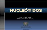 Nucleótidos 2012