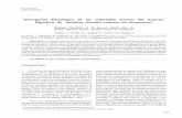 art01Descripción Histológica de las Glándulas Anexas del Aparato Digestivo de Avestruz