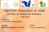 Presentacion Porcinos Sistemas de Produccion Pecuaria-Jose Moreno